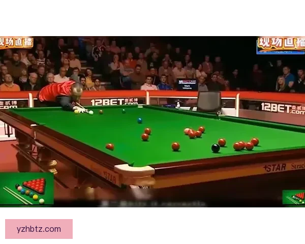 位宁辉对决金东秀巅峰之战视频全程回顾与技术解析精彩瞬间深度复盘